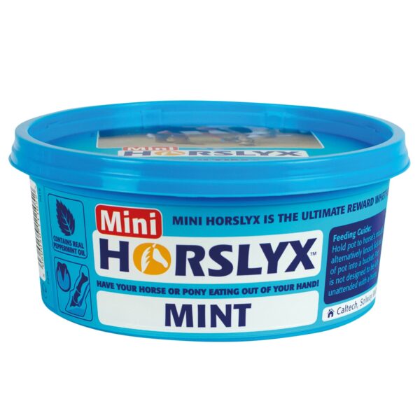 HORSLYX Mini Mint Lick | Torne Valley