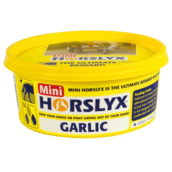 HORSLYX Mini Garlic Balancer Lick | Torne Valley