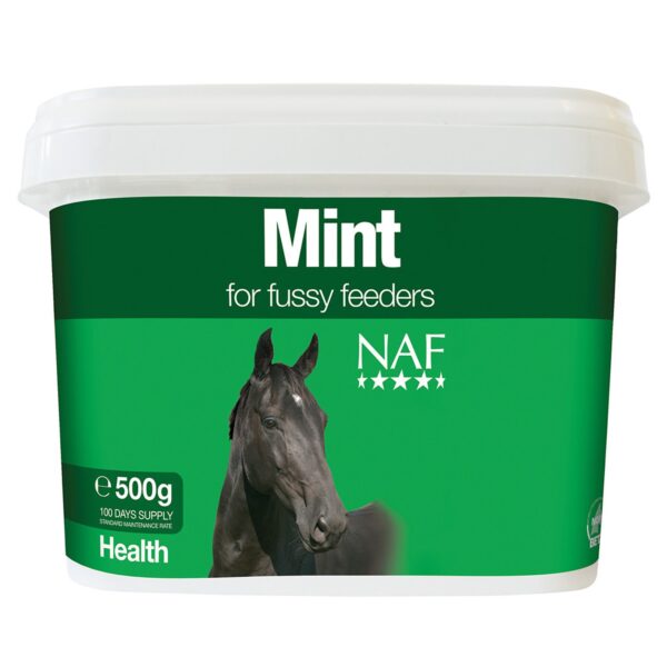 NAF Mint 500G | Torne Valley