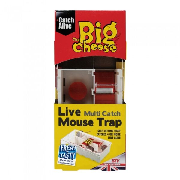 The Big Cheese Live Multi-Catch Mouse Trap | Torne Valley