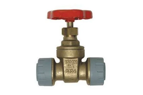 PolyPlumb 22mm Brass Gate Valve | Torne Valley