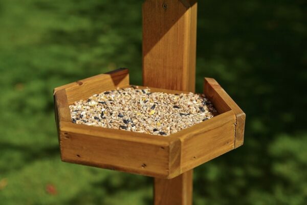 Tom Chambers Bird Table Seed Tray | Torne Valley