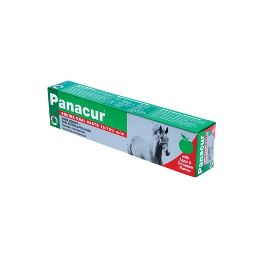 Panacur Equine Paste