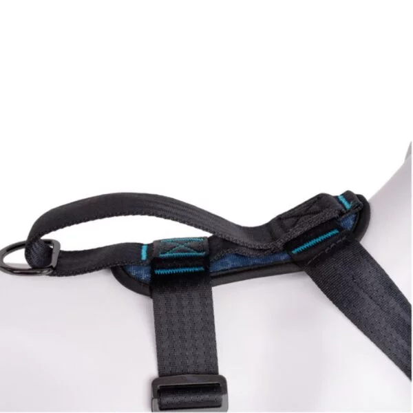 CarSafe Crash Tested Dog Harness, Small - Image 4