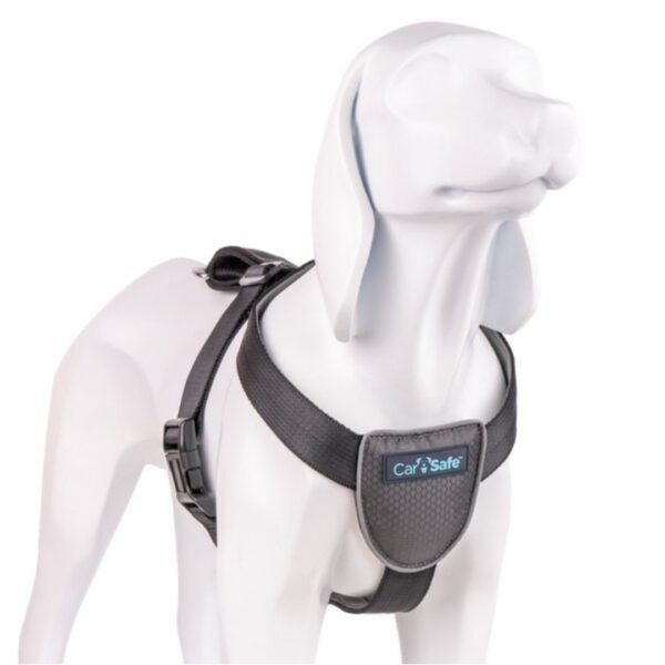 CarSafe Dog Travel Harness, Small | Torne Valley