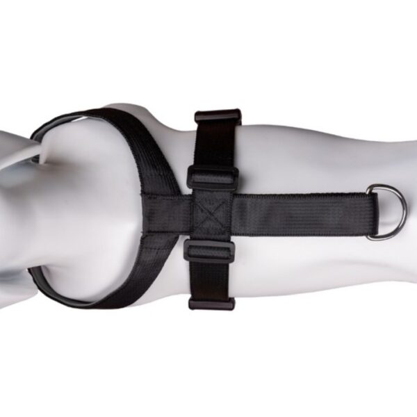 CarSafe Dog Travel Harness, Medium - Image 4