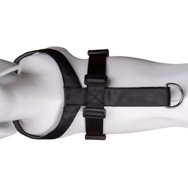 CarSafe Dog Travel Harness, Medium - Image 4