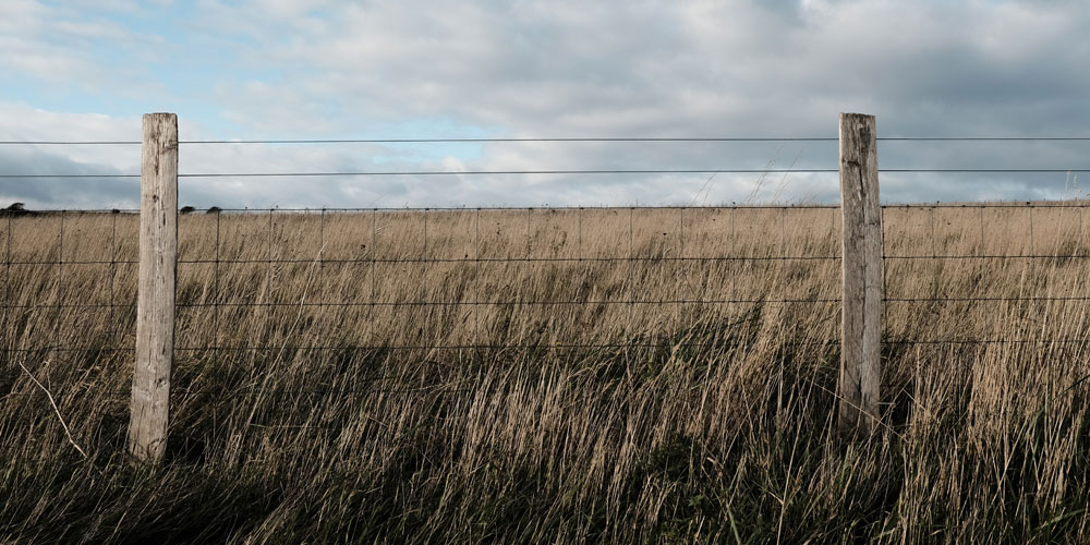 Fence Post