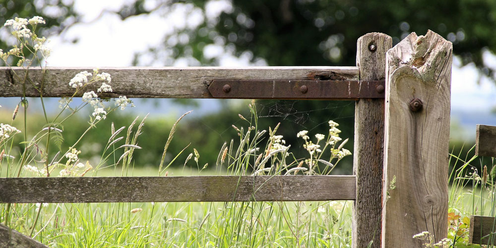 Wooden Gate
