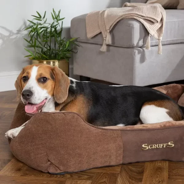 Chester Box Dog Bed - Chocolate Brown | Torne Valley