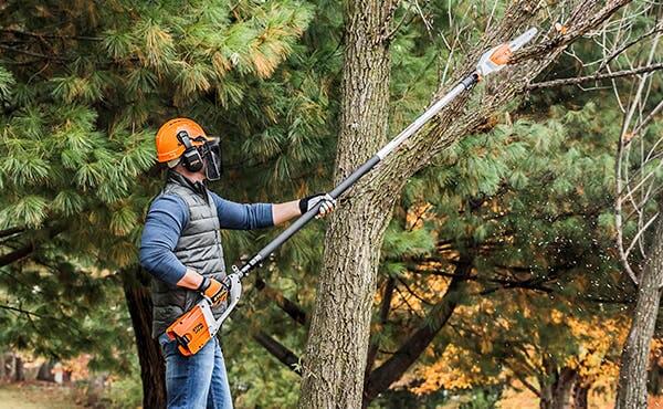 Which Pole Pruner is best