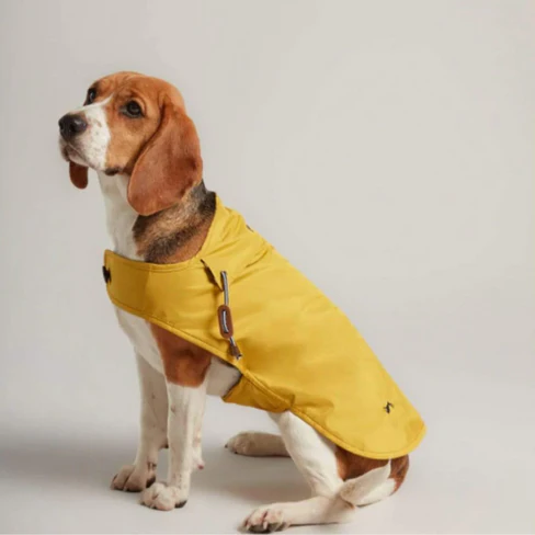 Joules Antique Gold Dog Coat