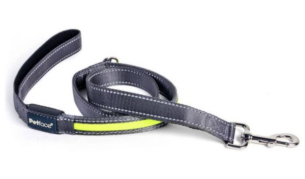 Dog Lead bright and safe LED