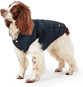 joules cherington dog