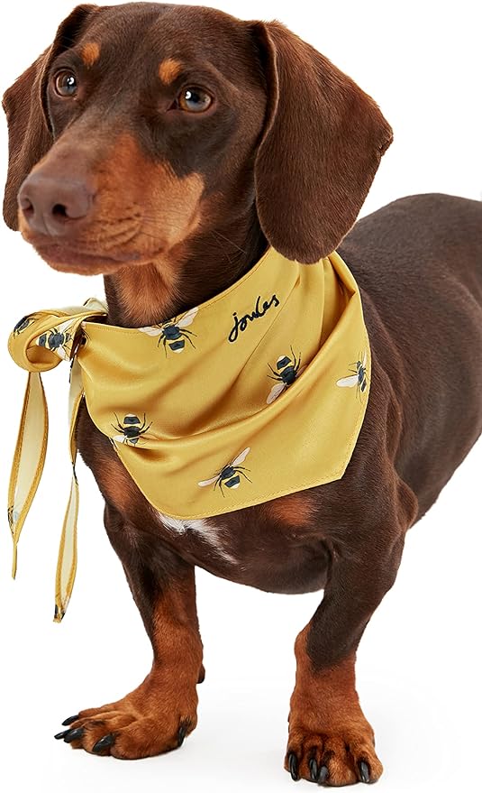 Dog Joules Bee Neckerchief