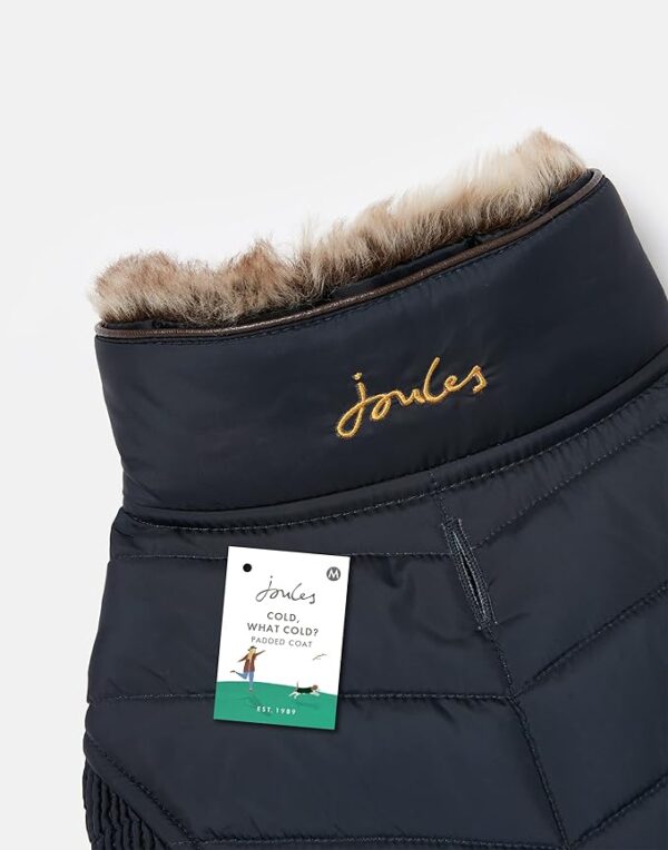 joules cherington dog