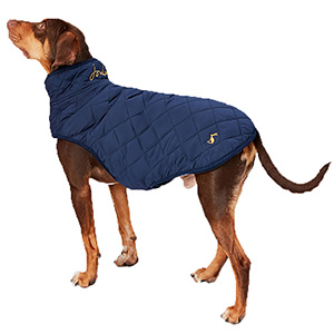 Joules Quilted Dog Coat in Navy