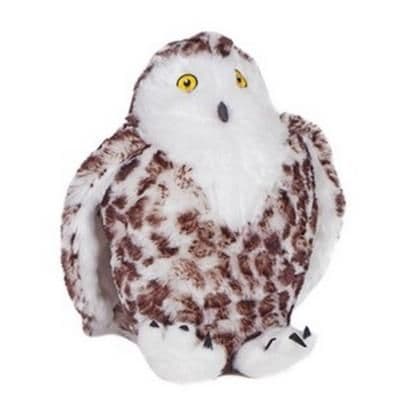 Suri the snowy owl
