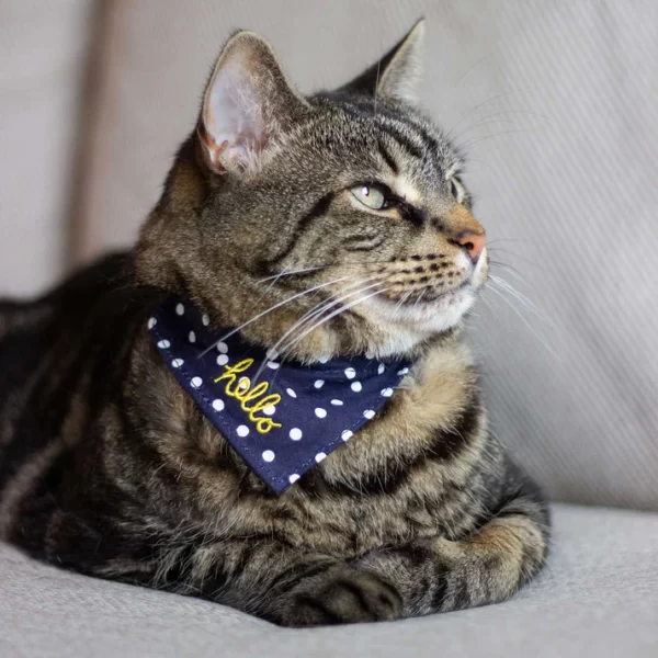 Cat Collar Joules