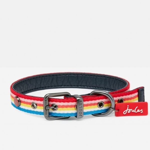 Joules Rainbow Striped Dog collar