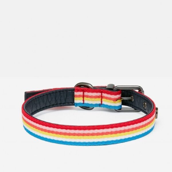 Joules Rainbow Striped Dog collar