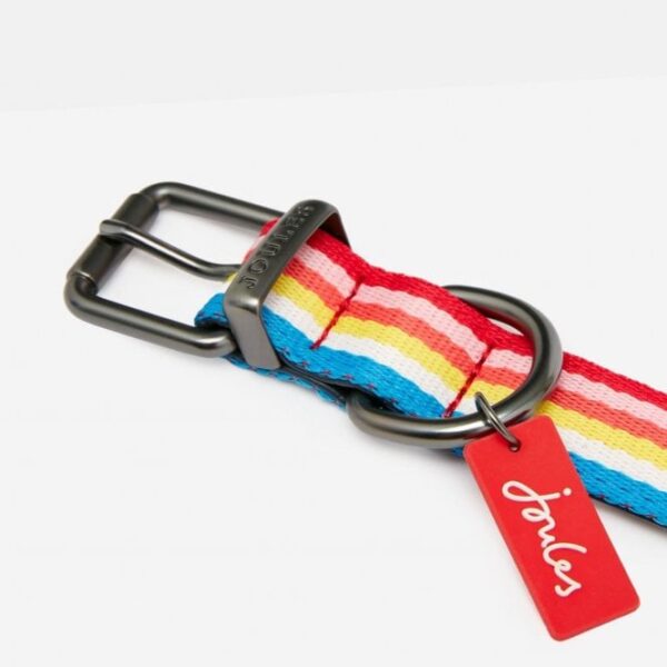 Joules Rainbow Striped Dog collar
