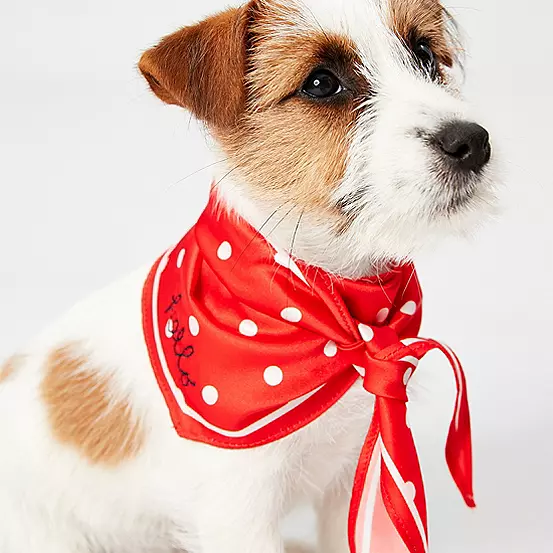 Dog Polka Dot Neckerchief Joules