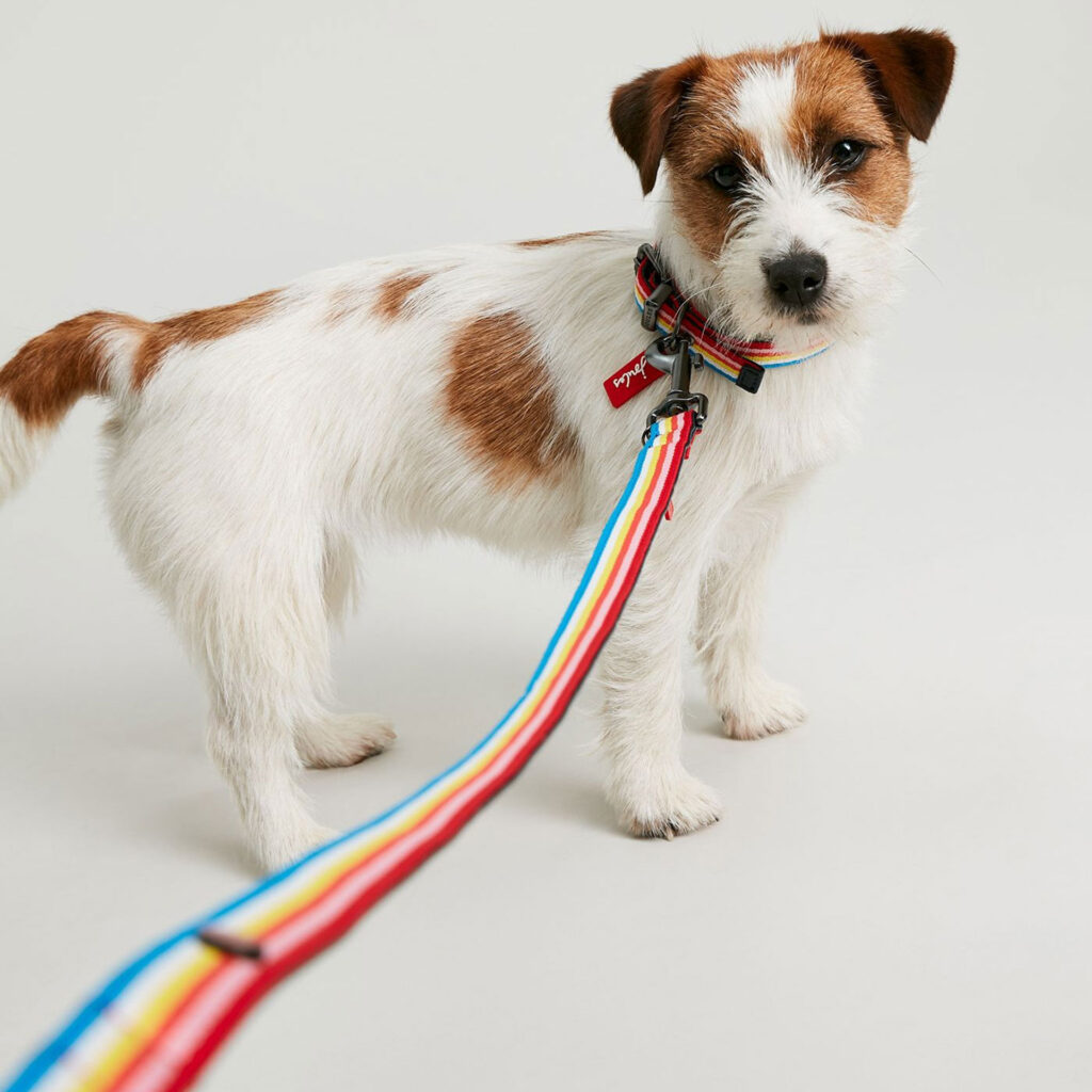 Joules Rainbow Stripe Dog Lead