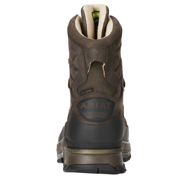 ARIAT CATALYST DEFIANT GTX INSULATED BOOTS | Torne Valley