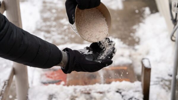 rock salt 20kg bag