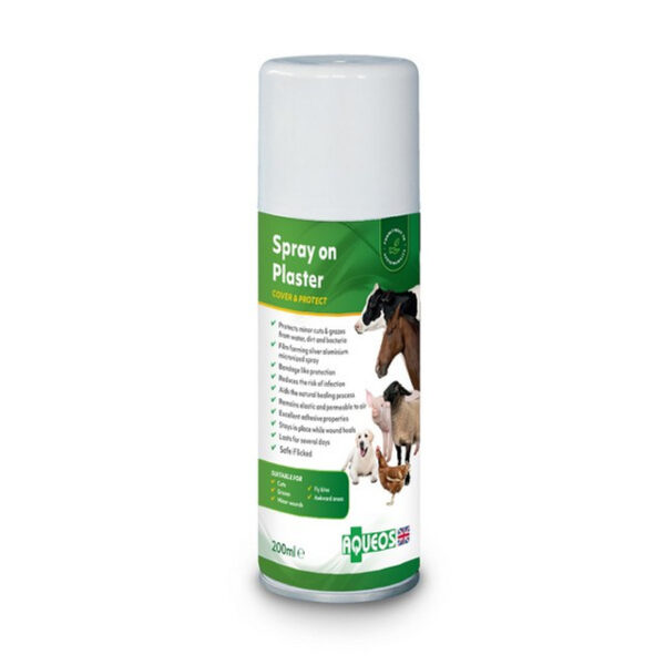 AQUEOUS SPRAY ON PLASTER 200ML | Torne Valley