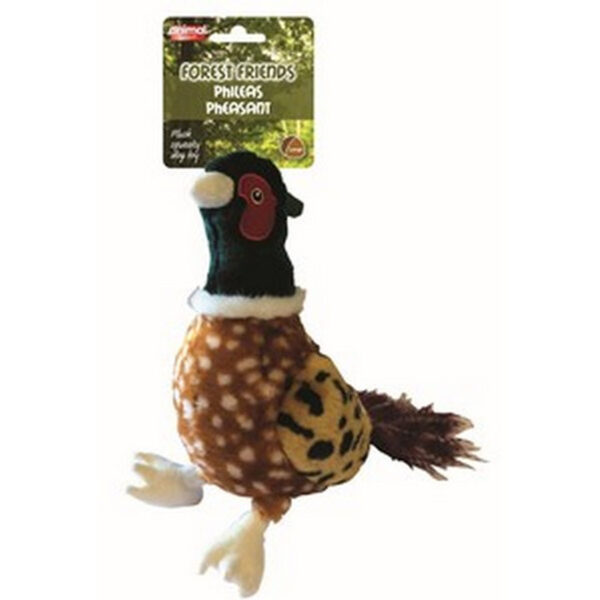 PHILEAS PHEASANT DOG TOY LARGE | Torne Valley