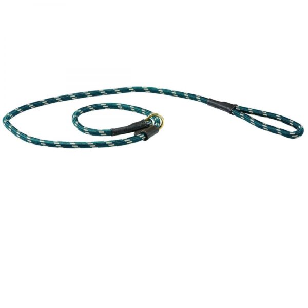 WEATHERBEETA ROPE LEATHER SLIP DOG LEAD | Torne Valley