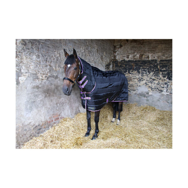 STABLE RUG COMBI 200G BLACK | Torne Valley