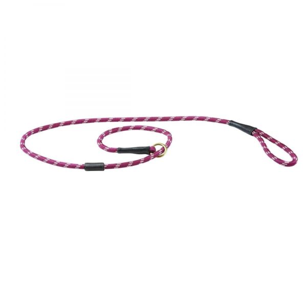 WEATHERBEETA ROPE LEATHER SLIP DOG LEAD | Torne Valley