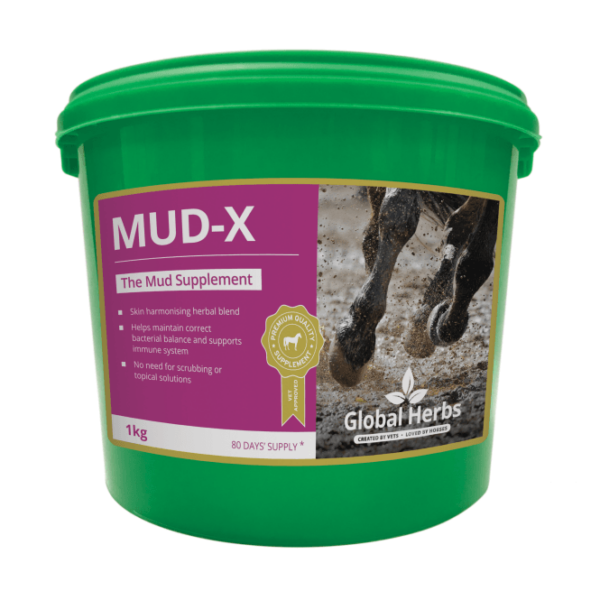 MUX X 500G | Torne Valley