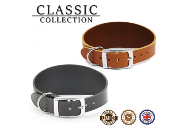 GREYHOUND LEATHER COLLAR | Torne Valley