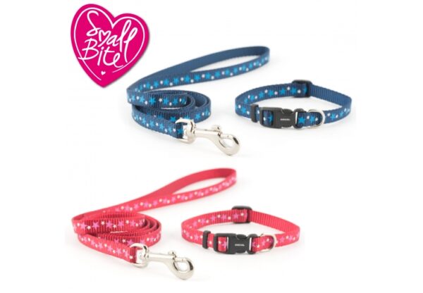 PUPPY COLLAR & LEAD | Torne Valley