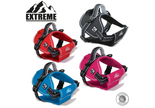 EXTREME HARNESS | Torne Valley