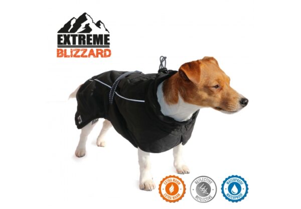 Extreme Blizzard Dog Coat Black | Torne Valley