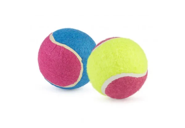 Chase Tennis Ball
